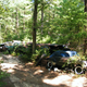 Illustration for article titled Massive Secret Mustang Junkyard Found In Rhode Island Forest